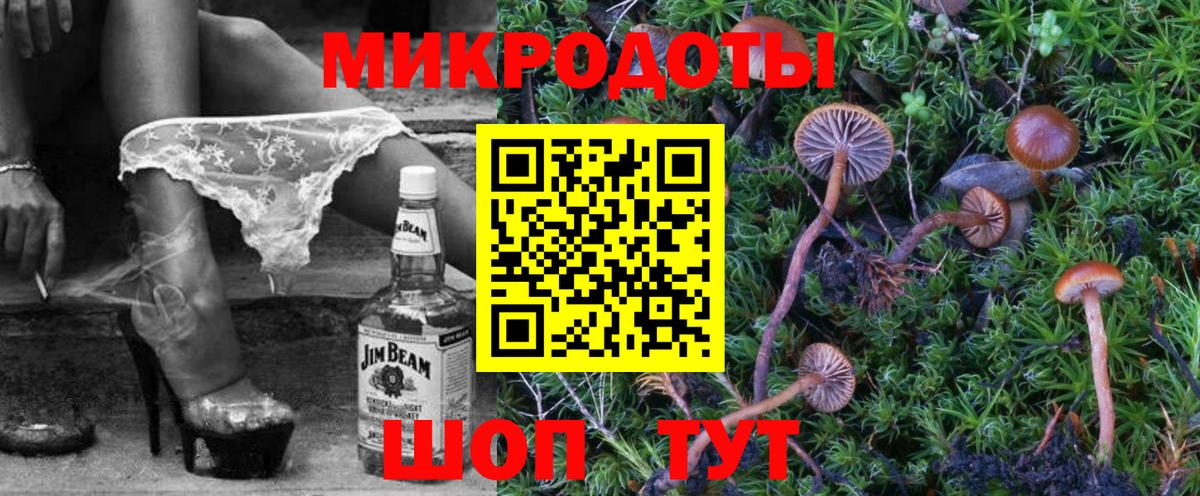 Псилоцибиновые грибы Cubensis  Вход с VPN  Сатка 